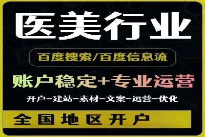 SEM代理助力品牌：案例解析与优化策略